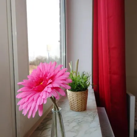 Schlafgelegenheit Apartment